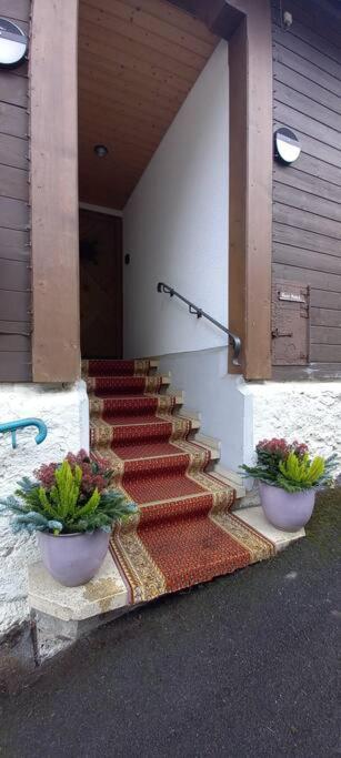 Chalet Maithili Lauterbrunnen -152-Year-Old Majestic Chalet Exterior photo